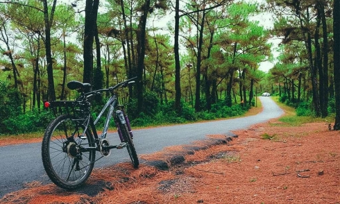 ĐỒI THIÊN AN - HỒ THỦY TIÊN