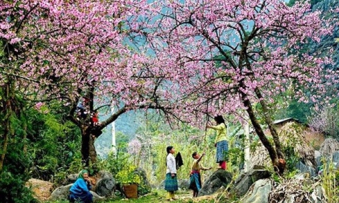 Top những điểm du lịch hấp dẫn nhất Việt Nam dịp Tết Nguyên đán 2019