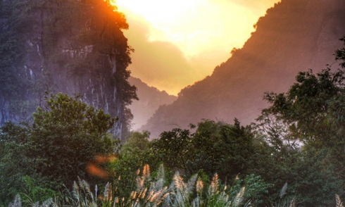 Ngỡ ngàng vẻ đẹp sắc trắng bông lau Ninh Bình