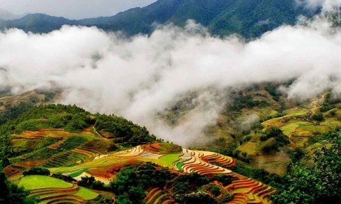 Sắc xuân Sapa, nơi gặp gỡ đất trời