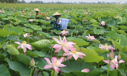 Trải nghiệm mùa nước nổi ở đồng bằng sông Cửu Long